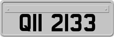 QII2133