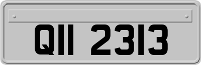 QII2313