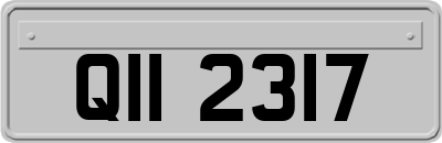 QII2317