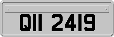 QII2419