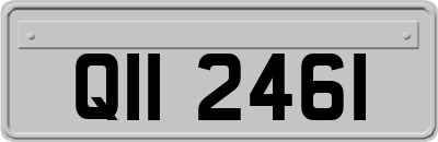QII2461