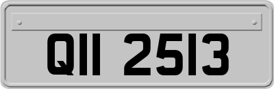 QII2513