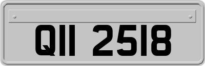 QII2518