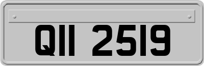 QII2519