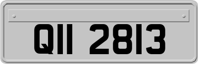 QII2813