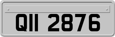 QII2876