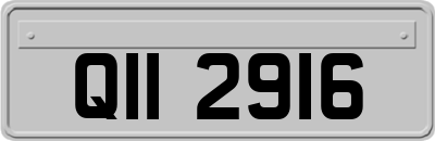 QII2916