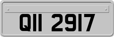 QII2917