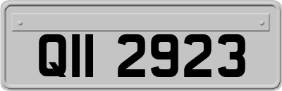QII2923