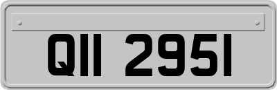 QII2951
