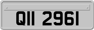 QII2961