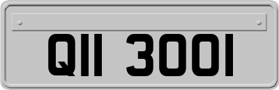 QII3001