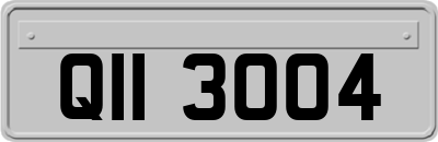 QII3004