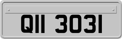QII3031