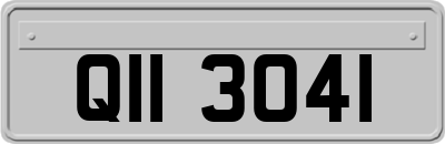 QII3041