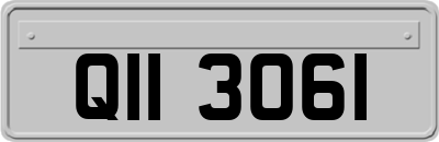 QII3061