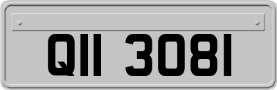 QII3081