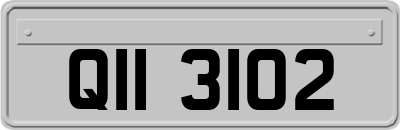 QII3102