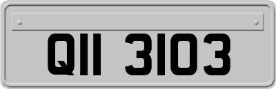 QII3103