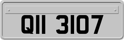 QII3107