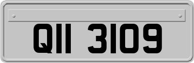 QII3109