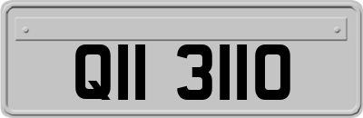 QII3110