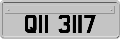 QII3117