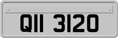 QII3120