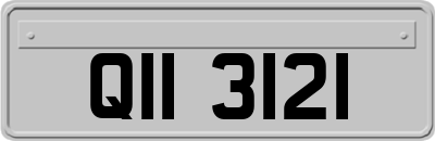 QII3121