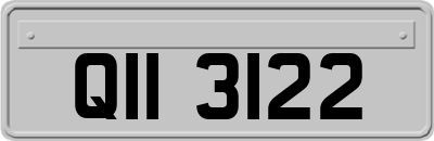 QII3122