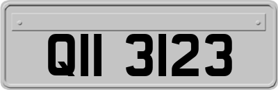 QII3123