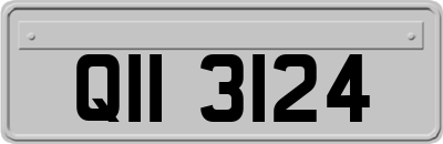 QII3124