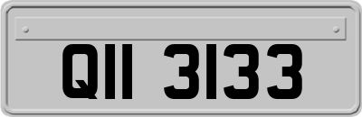 QII3133