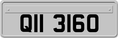 QII3160