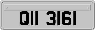 QII3161