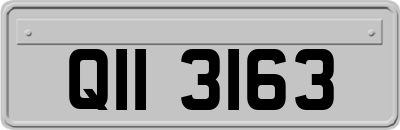 QII3163