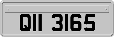 QII3165
