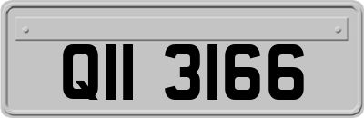 QII3166