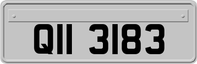 QII3183