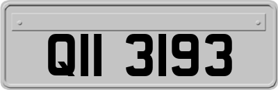 QII3193