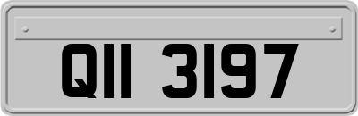 QII3197