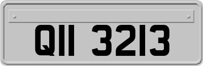 QII3213
