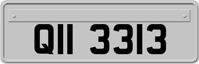 QII3313