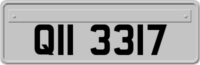 QII3317