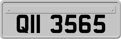 QII3565
