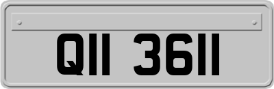 QII3611