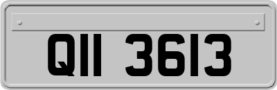 QII3613