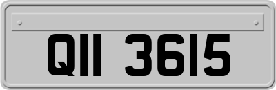 QII3615