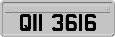 QII3616