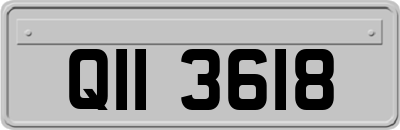 QII3618